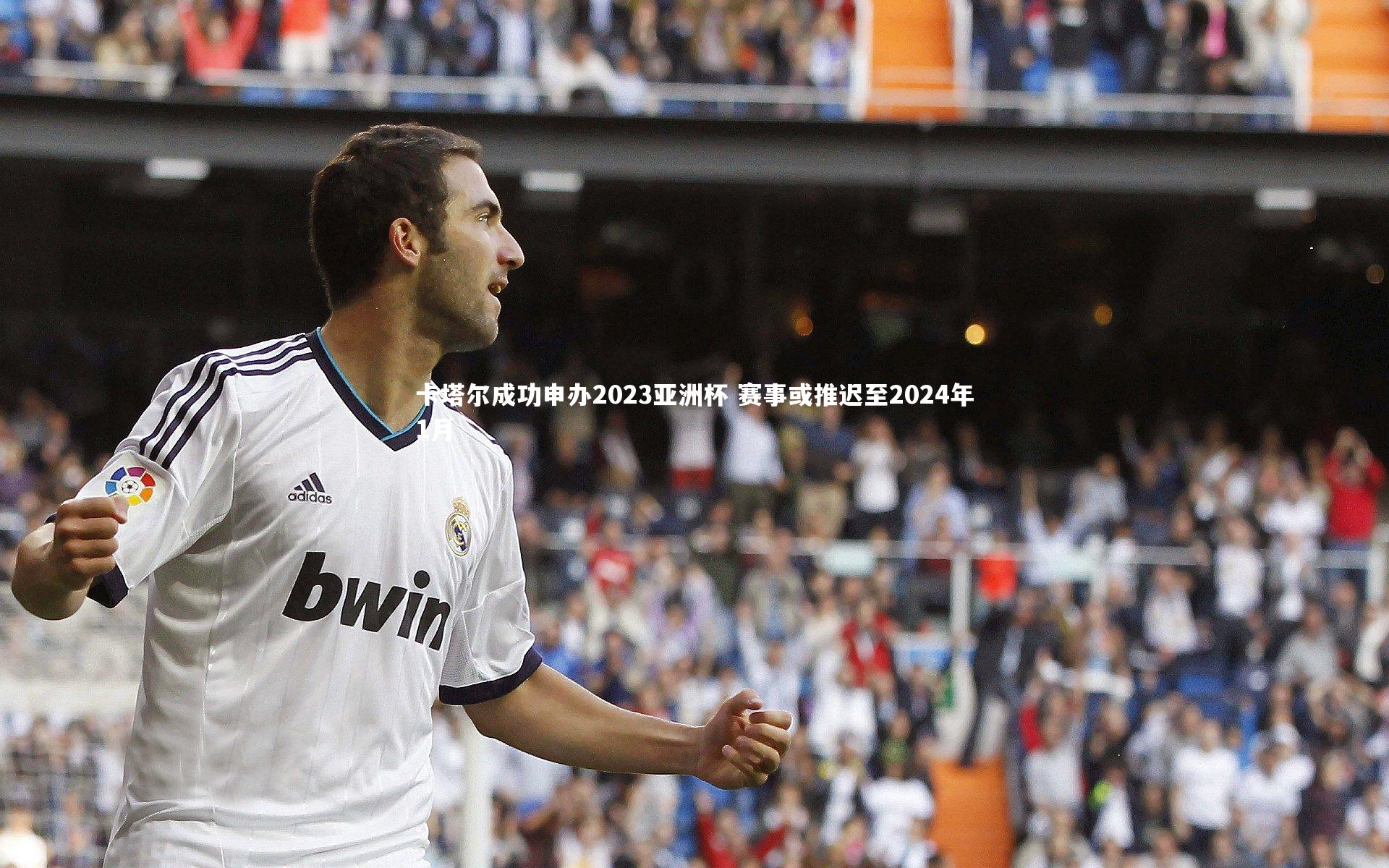 卡塔尔成功申办2023亚洲杯 赛事或推迟至2024年1月
