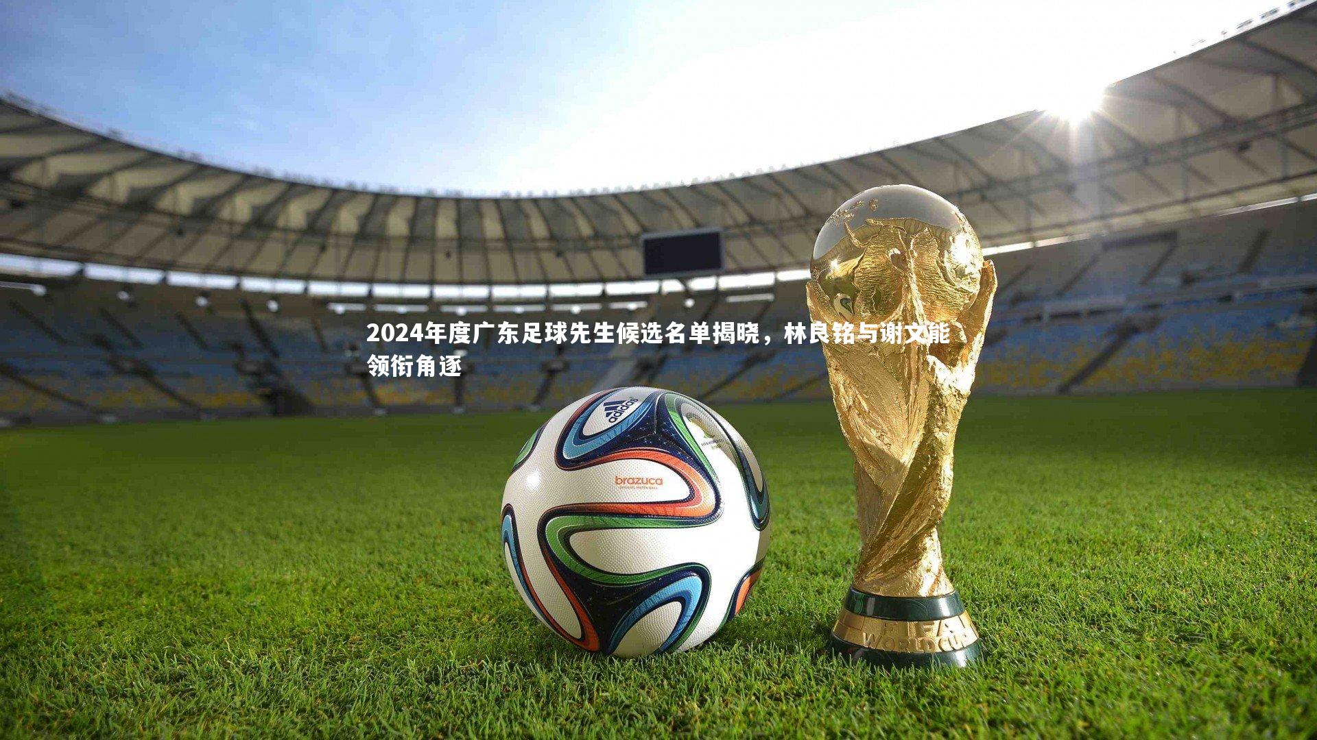 九游会j9：2024年度广东足球先生候选名单揭晓，林良铭与谢文能领衔角逐